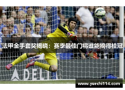 法甲金手套奖揭晓：赛季最佳门将谁能摘得桂冠