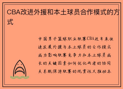 CBA改进外援和本土球员合作模式的方式