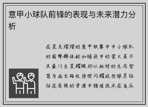 意甲小球队前锋的表现与未来潜力分析