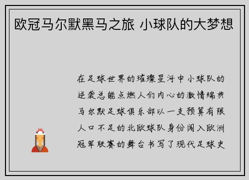 欧冠马尔默黑马之旅 小球队的大梦想
