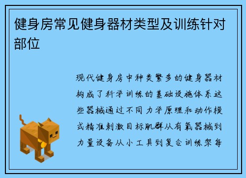 健身房常见健身器材类型及训练针对部位
